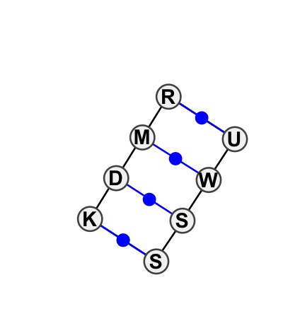 IL_02809.1